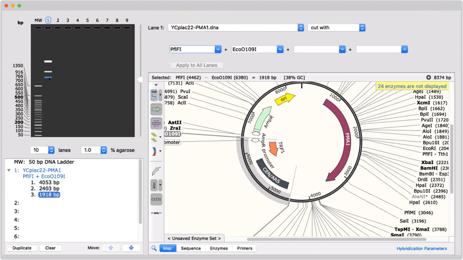 SnapGene for Mac 4.3.6 破解版 DNA序列文件查看