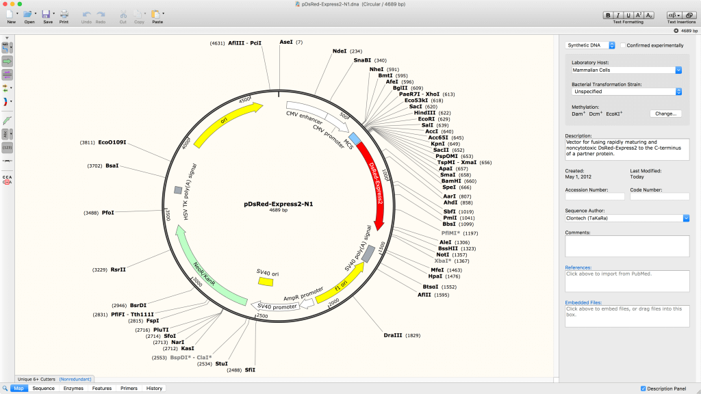 how to make a schematic on snapgene viewer