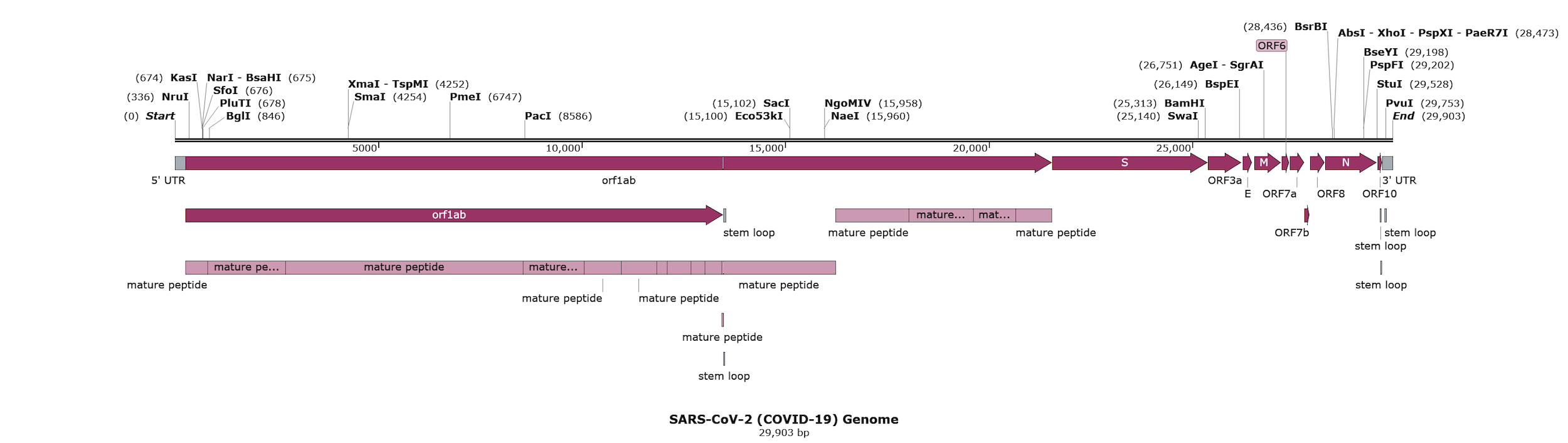 Coronavirus Resources