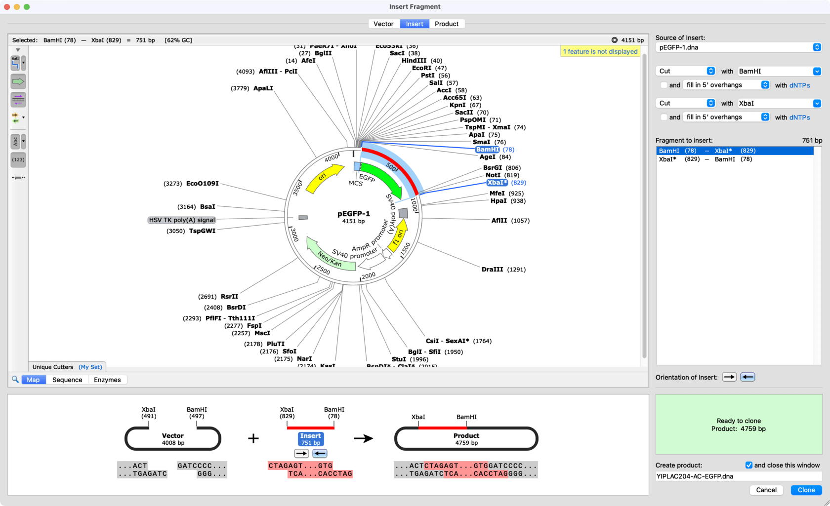 Snapgene Software For Everyday Molecular Biology