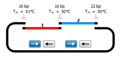 snapgene