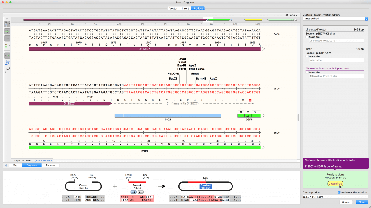 snapgene version