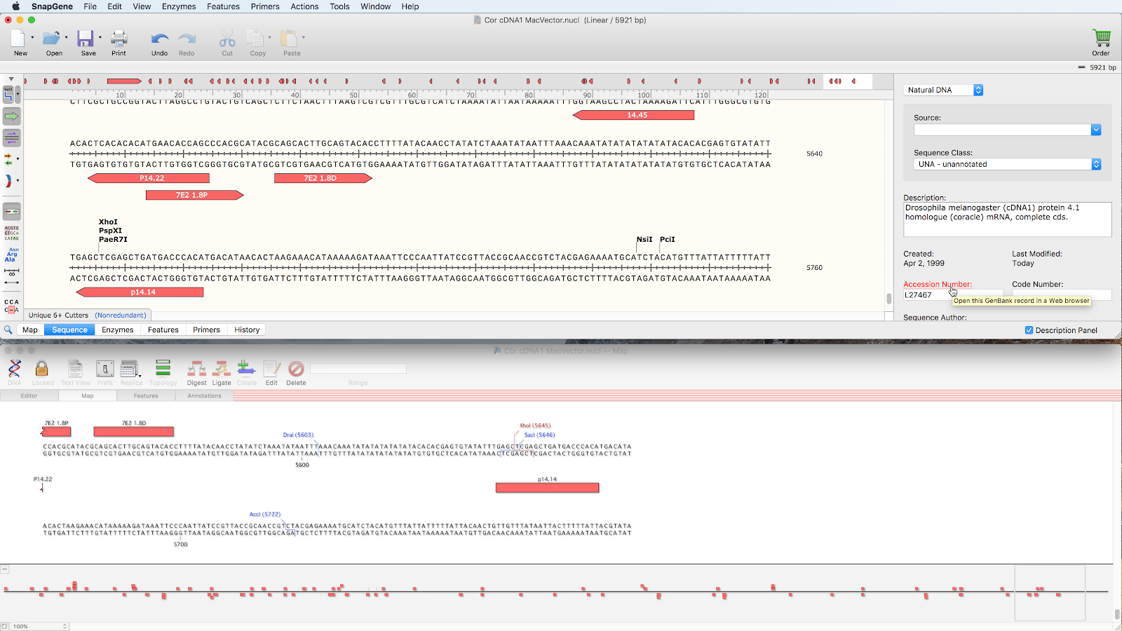 snapgene feature database snapgene feature database