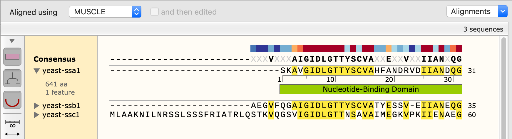 snapgene viewer for mac snapgene viewer for mac