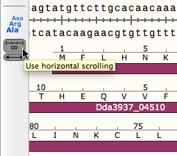 serial cloner cohesive ends