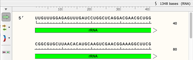 SnapGene RNA Sequence Files